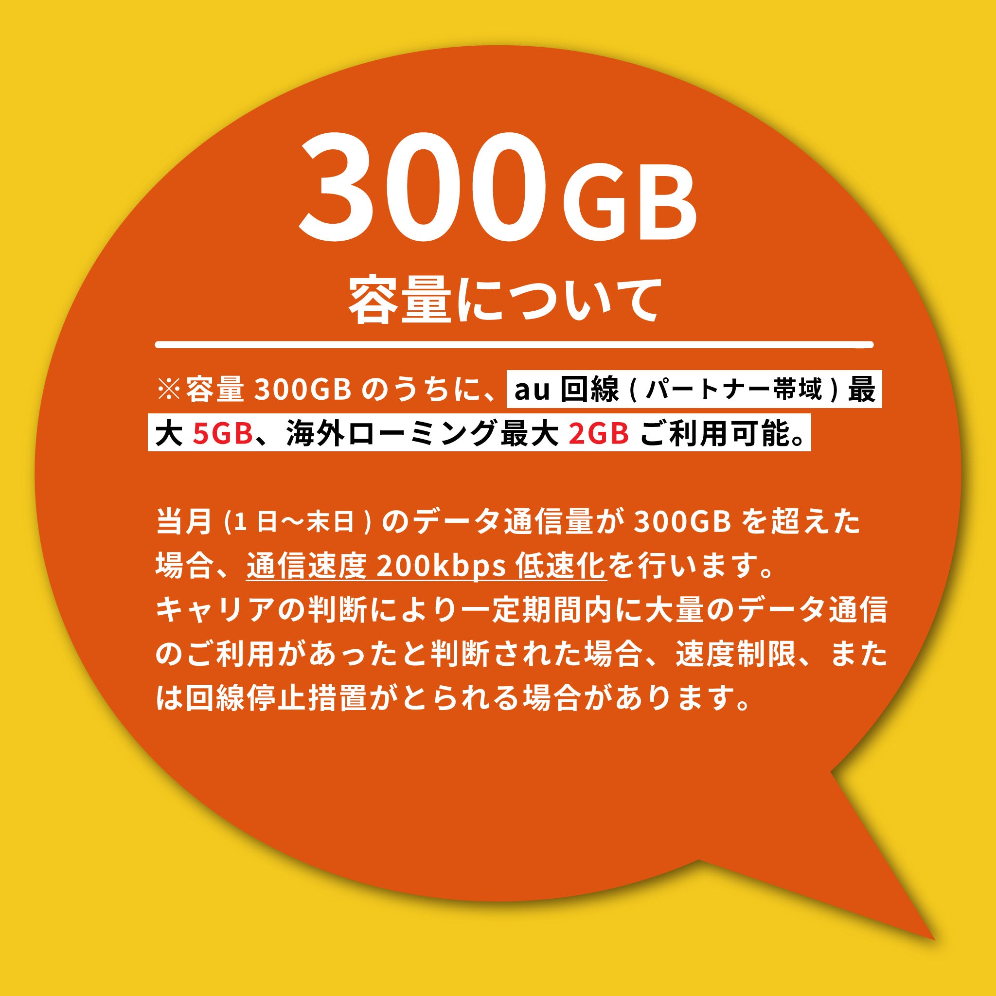 Rakuten Prepaid SIM 300GB